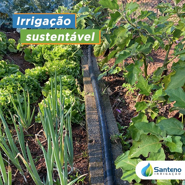 MANGUERA SANTENO 1x50 mts  