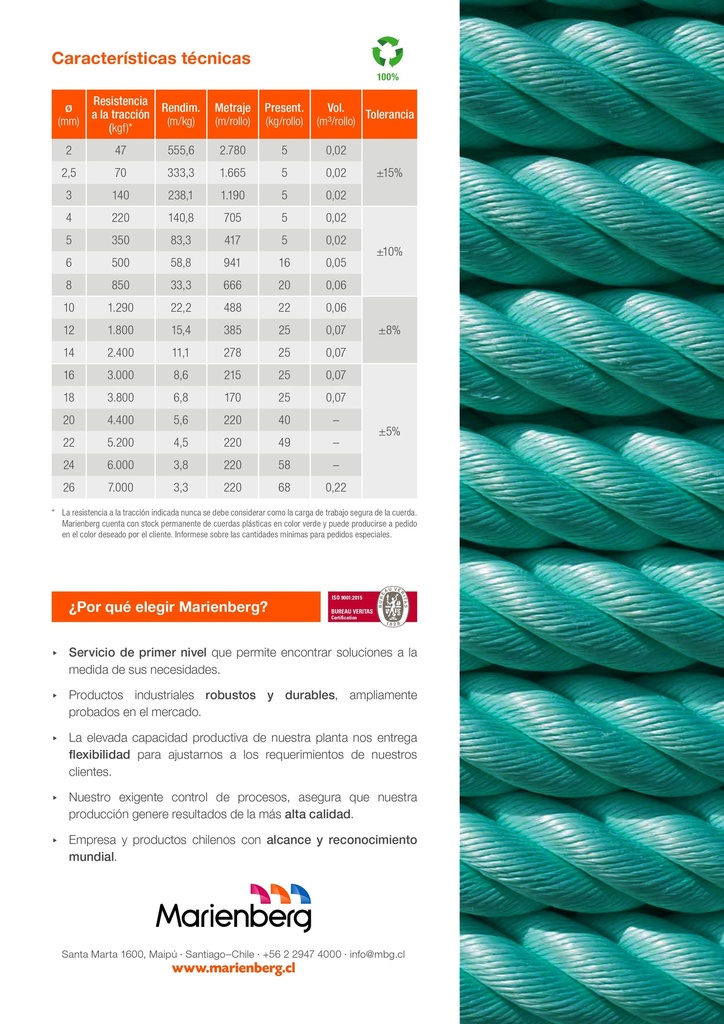 Cuerda de 8mm - Rafia Verde Ficha 2