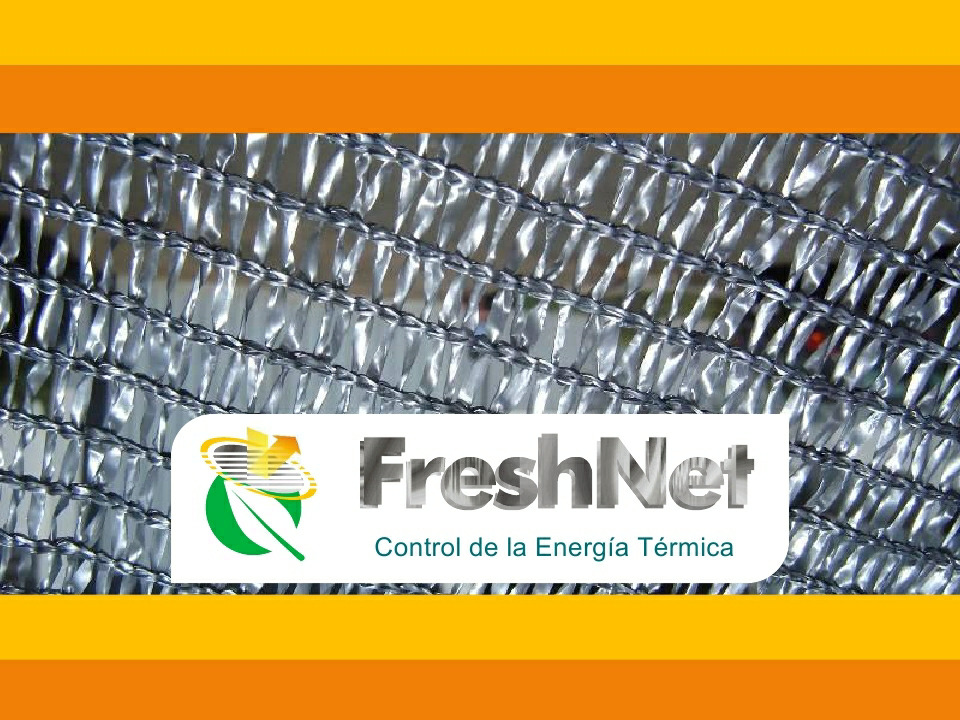 fresh net