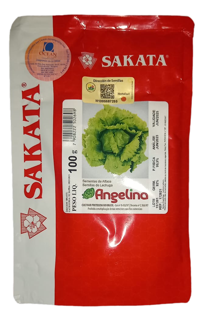 Lechuga Angelina 100gr desnuda