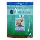 Cebolla K-BUENA Pandia x 100mx Semillas HIBRIDO