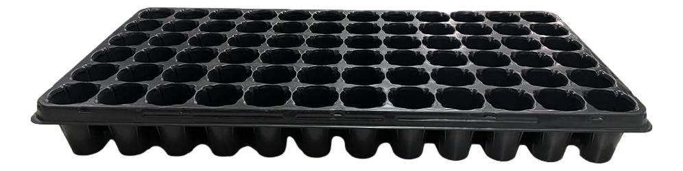 Bandeja 162 Celdas Negro Pesado (C.80)