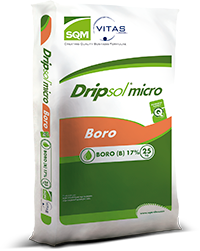 [4-0097] Acido Borico - Dripsol - 25kg - Soluble