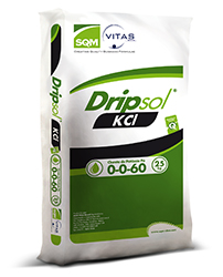 [4-0116] Fert. 00-00-60 - KCL -DRIPSOL 25KG