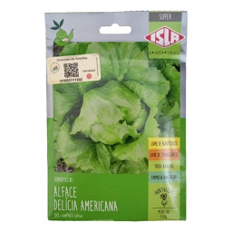 [31-0065] SEMI. LECHUGA DELICIA AMERICANA 1,5GR - ISLA