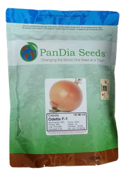 [6-0190] Cebolla odette 100mx - SEMILLA