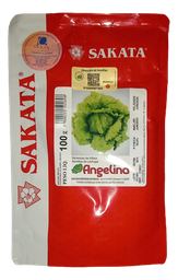 [31-0119] Lechuga Angelina 100gr desnuda